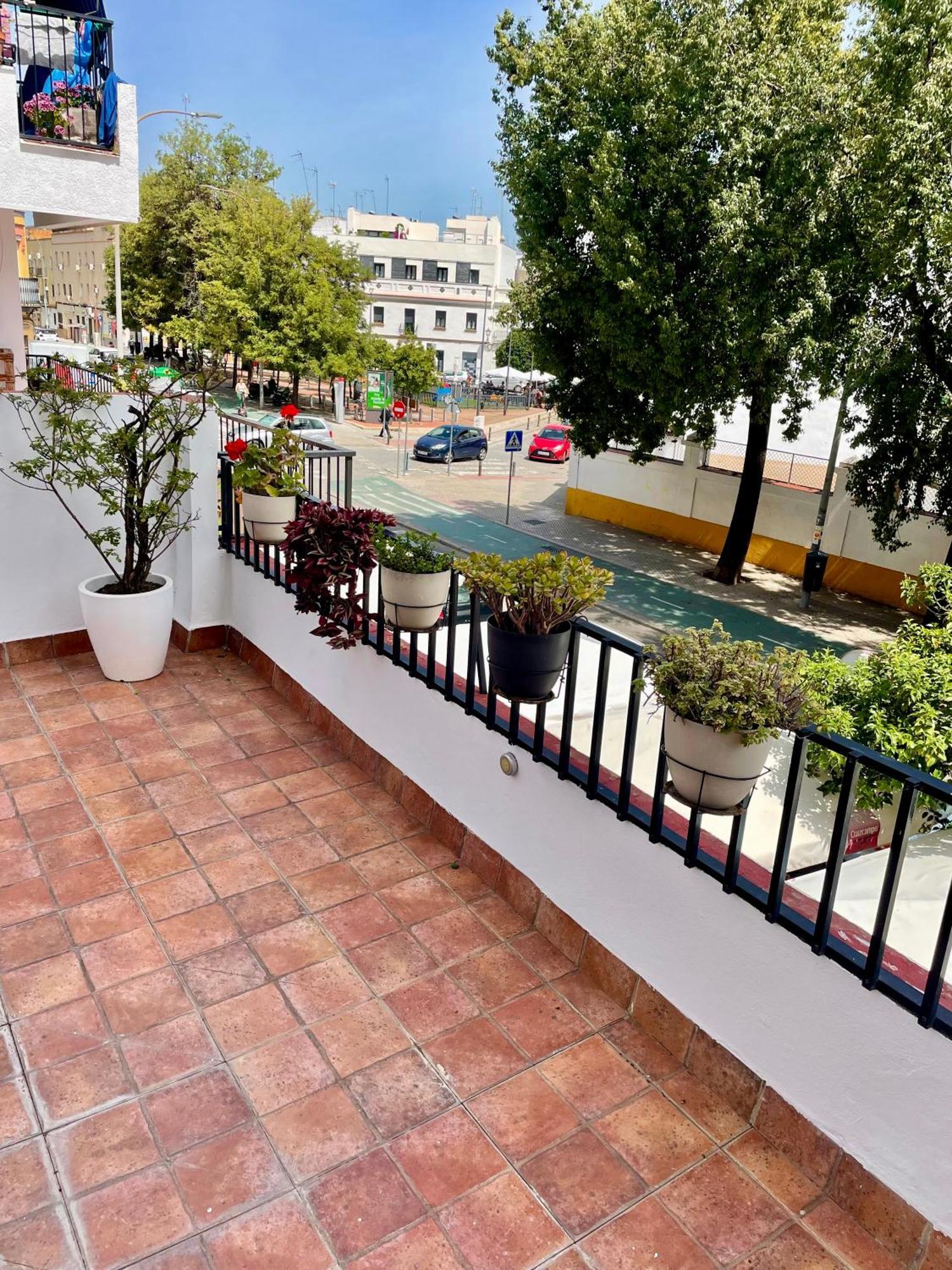 La Terraza De Triana Διαμέρισμα Σεβίλλη Εξωτερικό φωτογραφία